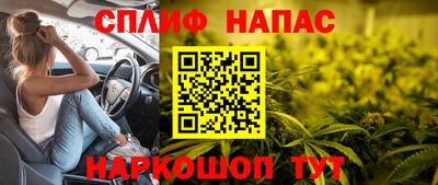 ГАЛЛЮЦИНОГЕННЫЕ ГРИБЫ Кинель