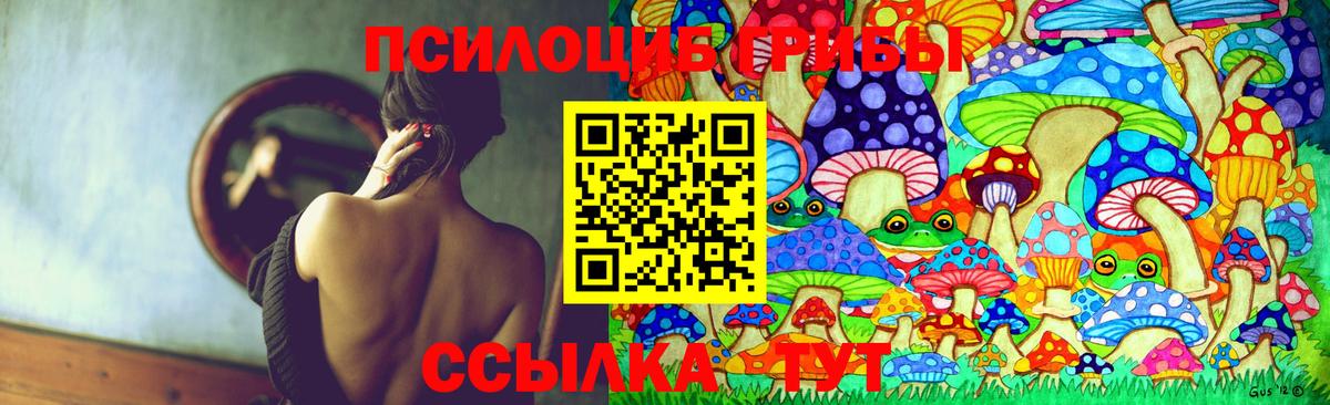 Корсаков  Галлюциногенные грибы MAGIC MUSHROOMS  Псилоцибиновые грибы GOLDEN TEACHER  Вход с VPN 