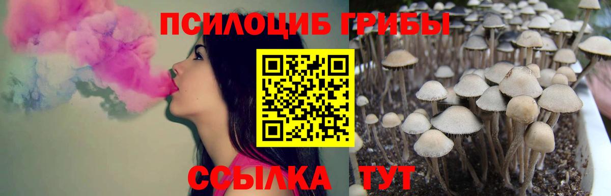 Псилоцибиновые грибы прущие грибы Корсаков